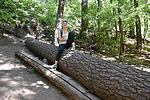 photo thumbnail #6