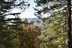 photo thumbnail #7