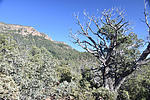 photo thumbnail #9