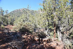 photo thumbnail #10