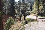 photo thumbnail #2