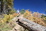 photo thumbnail #3