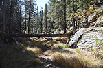 photo thumbnail #4
