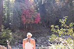 photo thumbnail #6