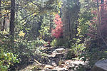 photo thumbnail #7