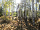 photo thumbnail #5