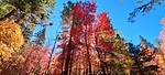 photo thumbnail #1