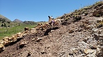 photo thumbnail #15