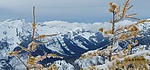 photo thumbnail #2
