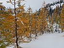 photo thumbnail #11