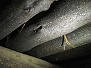 photo thumbnail #7