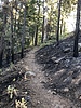 photo thumbnail #5