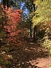 photo thumbnail #14