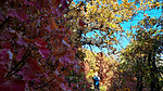 photo thumbnail #9