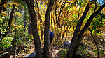 2020-10-17 :1: Mingus Oaks and Butterfly with Gaddes :: joebartels