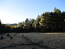 photo thumbnail #14