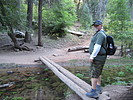 photo thumbnail #4