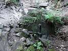 photo thumbnail #5