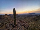 photo thumbnail #6