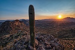 photo thumbnail #14