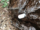 photo thumbnail #9