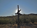 photo thumbnail #11