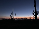 photo thumbnail #12