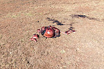 photo thumbnail #11