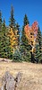2020-10-16 :1: Winn Campground :: Pappy_Wilz