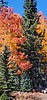 2020-10-16 Winn Campground :: Pappy_Wilz