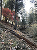 photo thumbnail #15