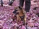 photo thumbnail #7
