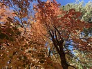 photo thumbnail #11