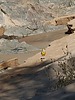 2020-10-16 :1: North Bass Trail :: ShatteredArm