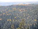 photo thumbnail #8