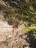 Featured Detail Photo