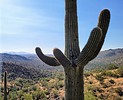 photo thumbnail #12