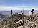 photo thumbnail #6