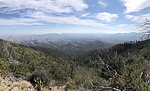 photo thumbnail #6