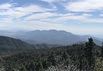 photo thumbnail #7