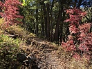 photo thumbnail #9