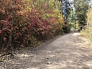 photo thumbnail #11