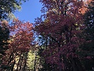 photo thumbnail #15