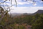 photo thumbnail #7