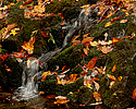 photo thumbnail #6