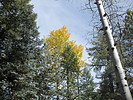 photo thumbnail #12