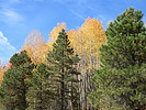 photo thumbnail #15