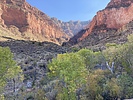 photo thumbnail #3
