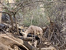 photo thumbnail #7