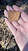 photo thumbnail #7